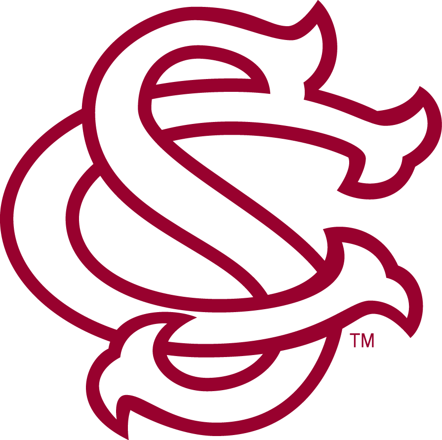South Carolina Gamecocks 1993-Pres Alternate Logo diy iron on heat transfer